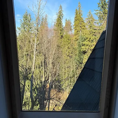 Visitzakopane - Mnich *