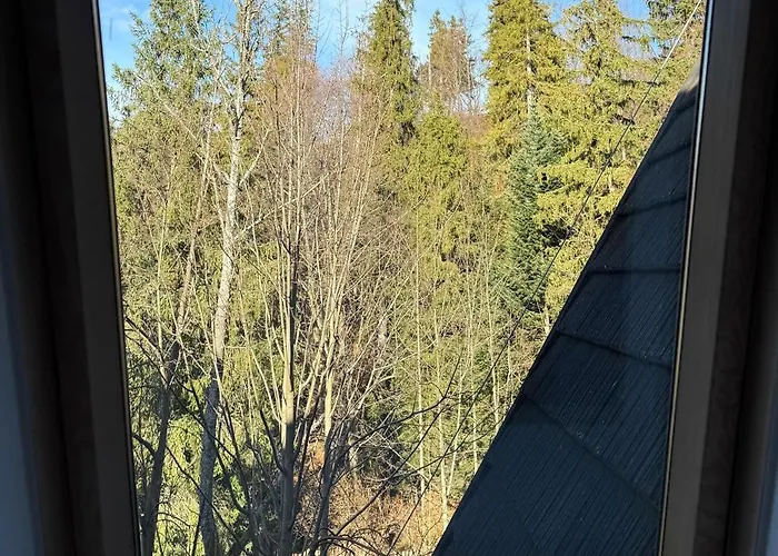 Visitzakopane - Mnich *